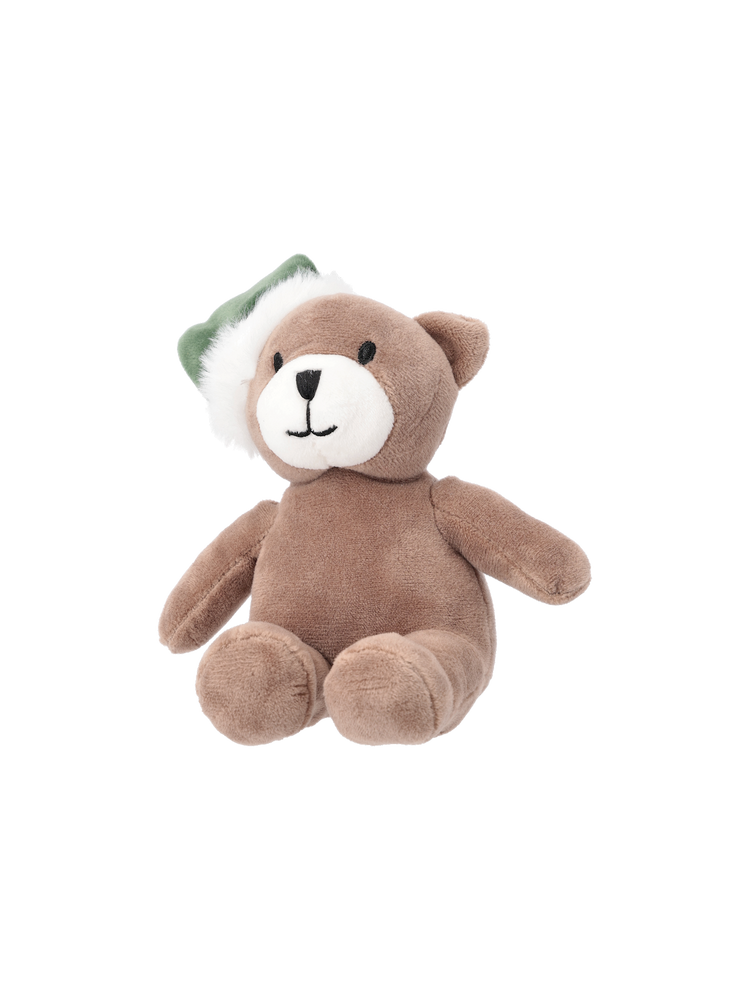 Teddy with Christmas hat