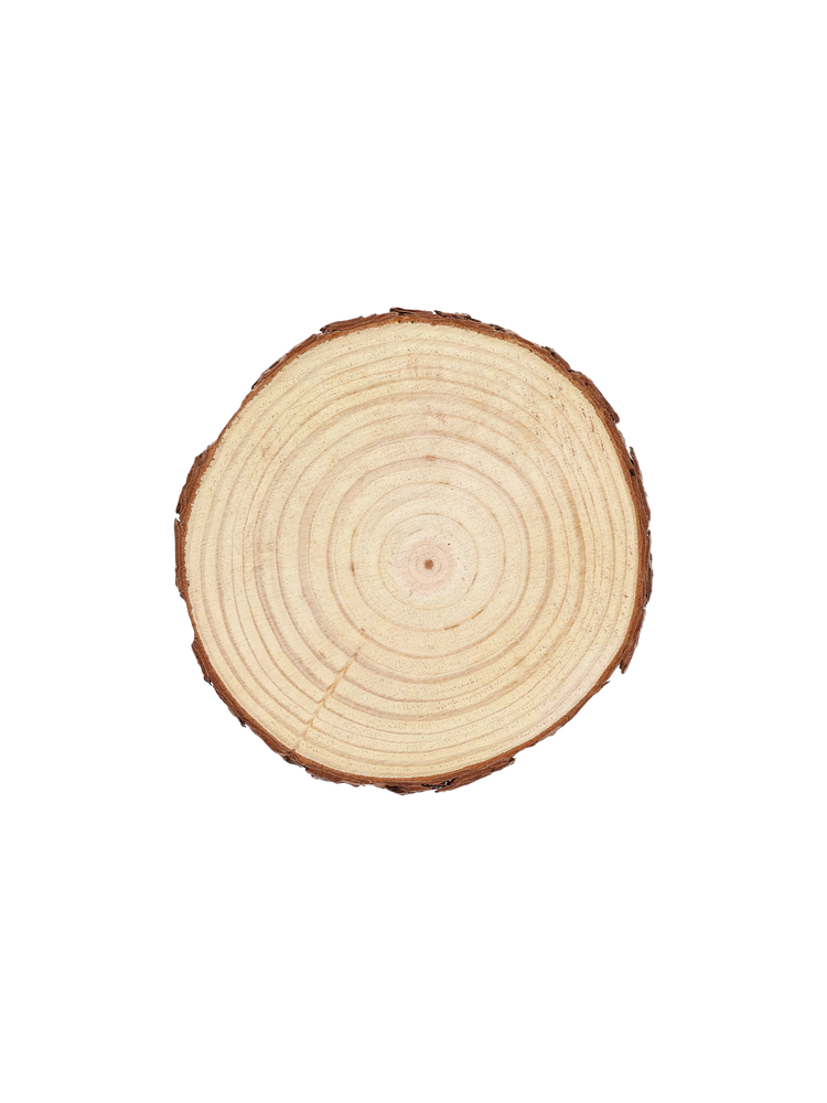 Wood disc