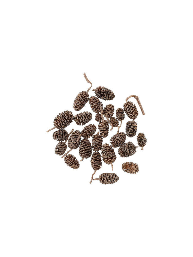 Pine cones