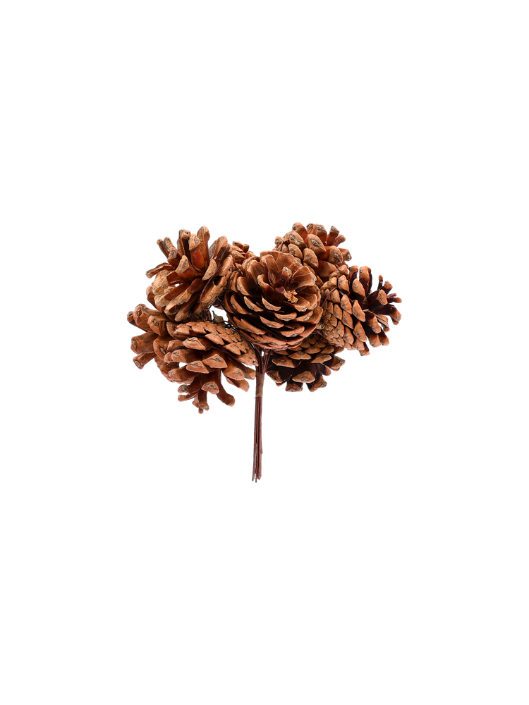 Cones on stick