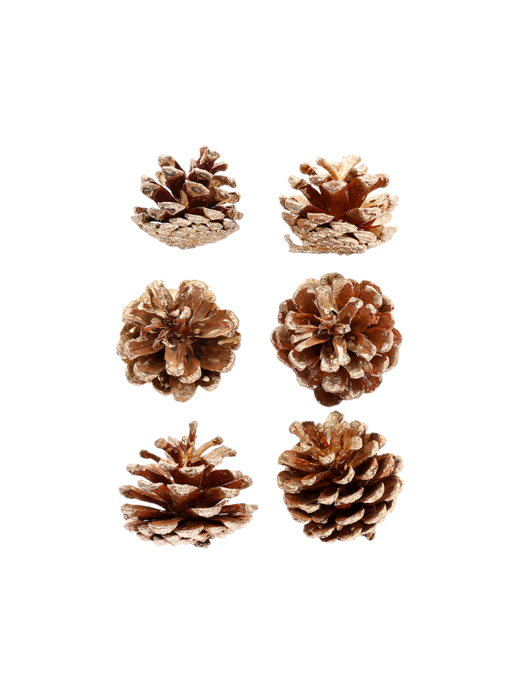 Pine cones with metallic effect