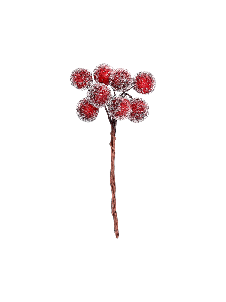 Decorative berries