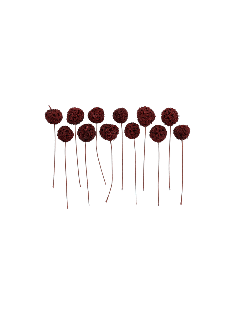 Decorative dried flowers