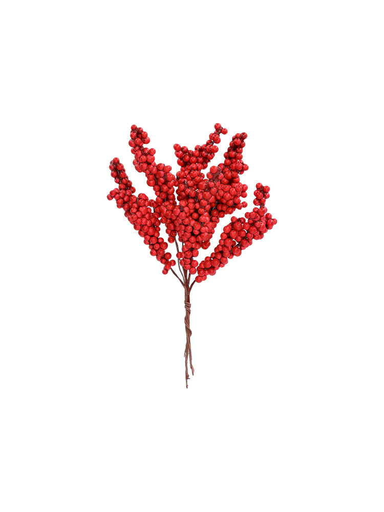 Decorative red berries in bunch