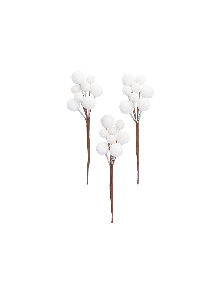 Decorative berries