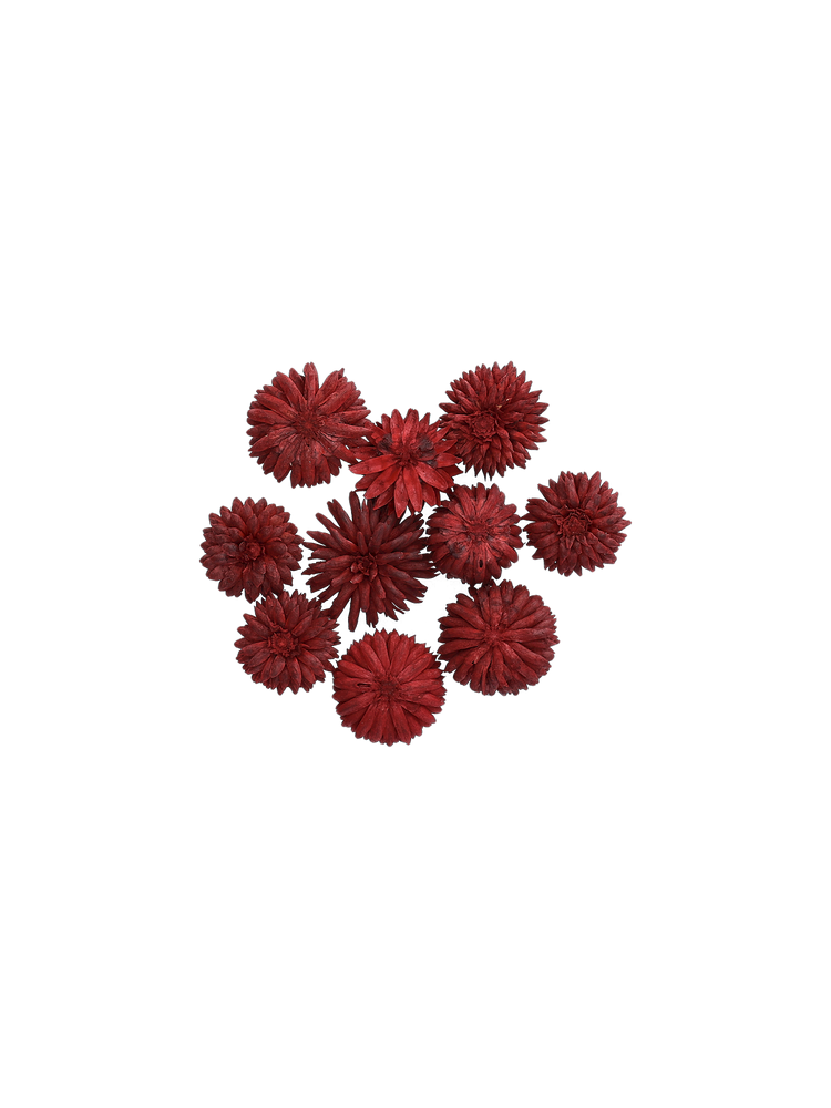 Decorative dried flowers