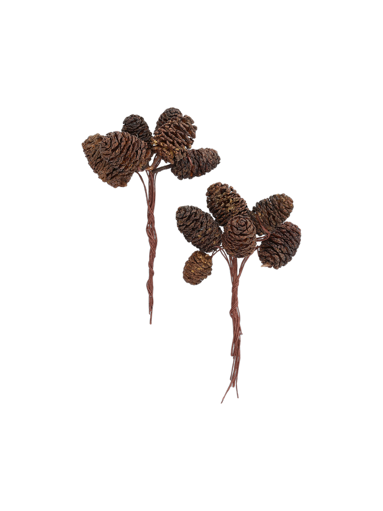 Small cones