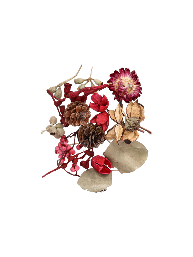 Assorted nature decorations