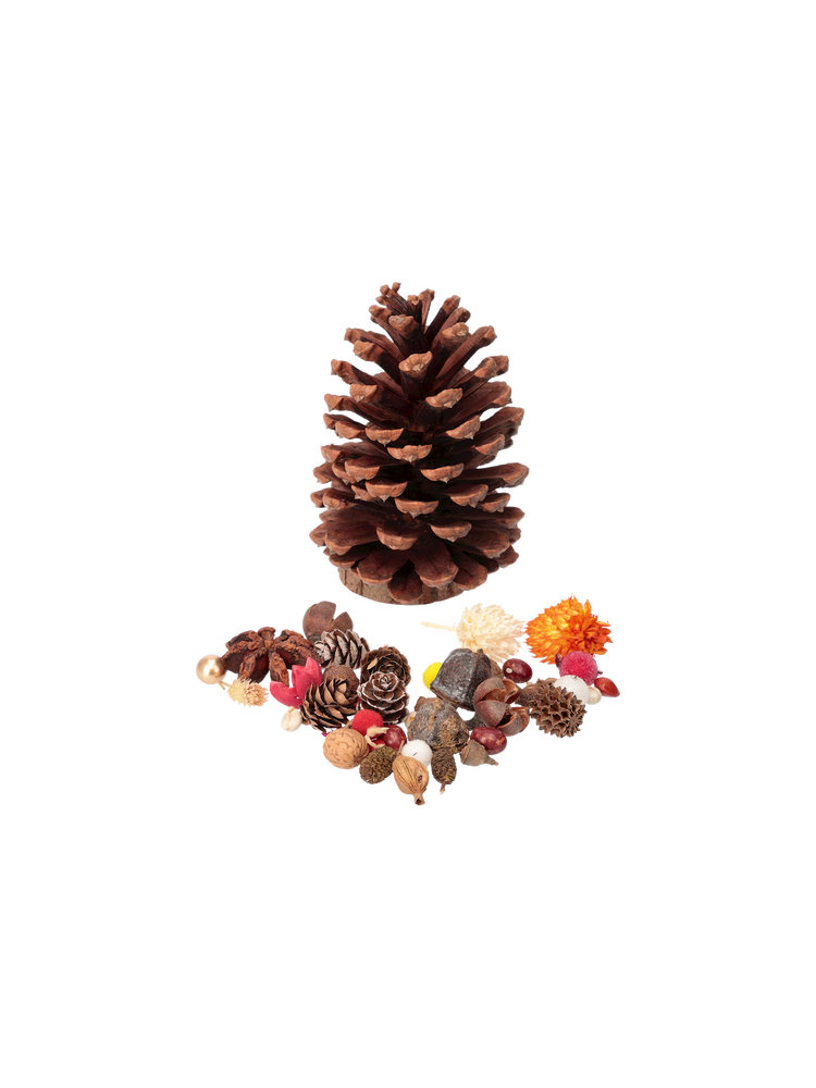 DIY kit pinecone tree