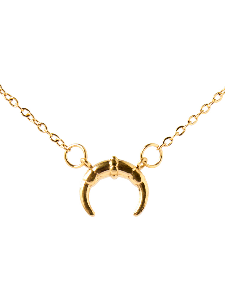 Crescent charm necklace