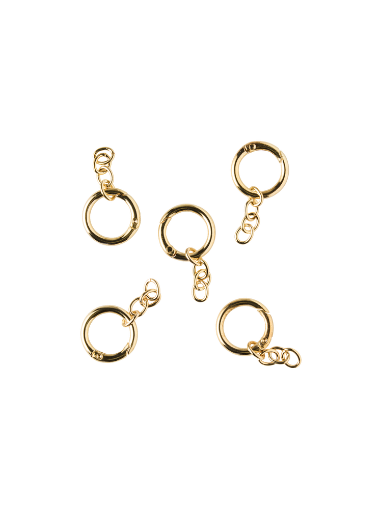Keyring with chain