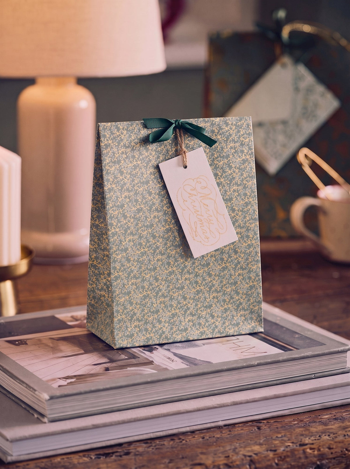 Gift bag with ribbon