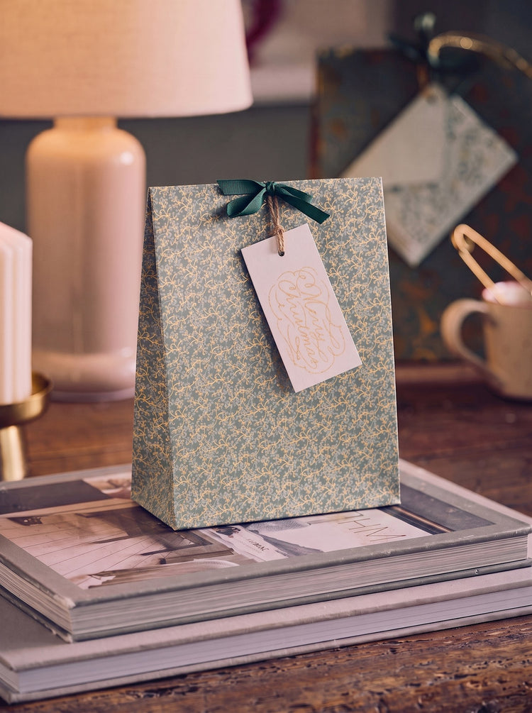Gift bag with ribbon
