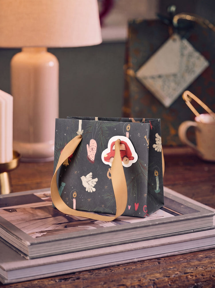 Gift bag with handles and tag