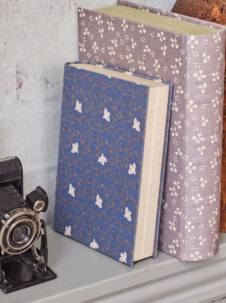 Book storage box