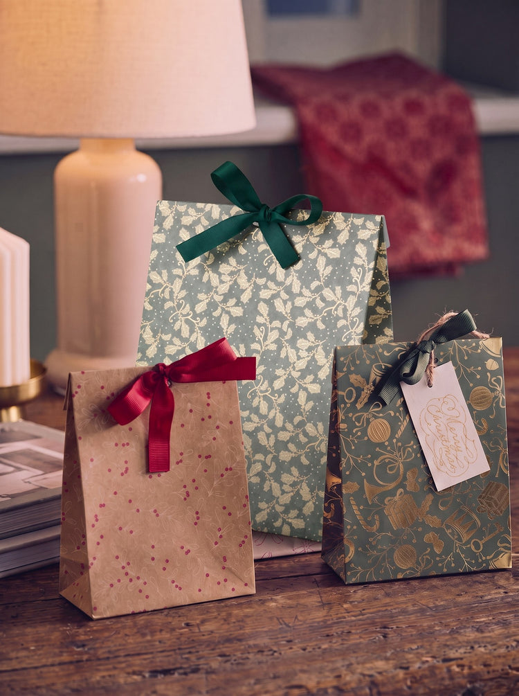 Gift bag with ribbon