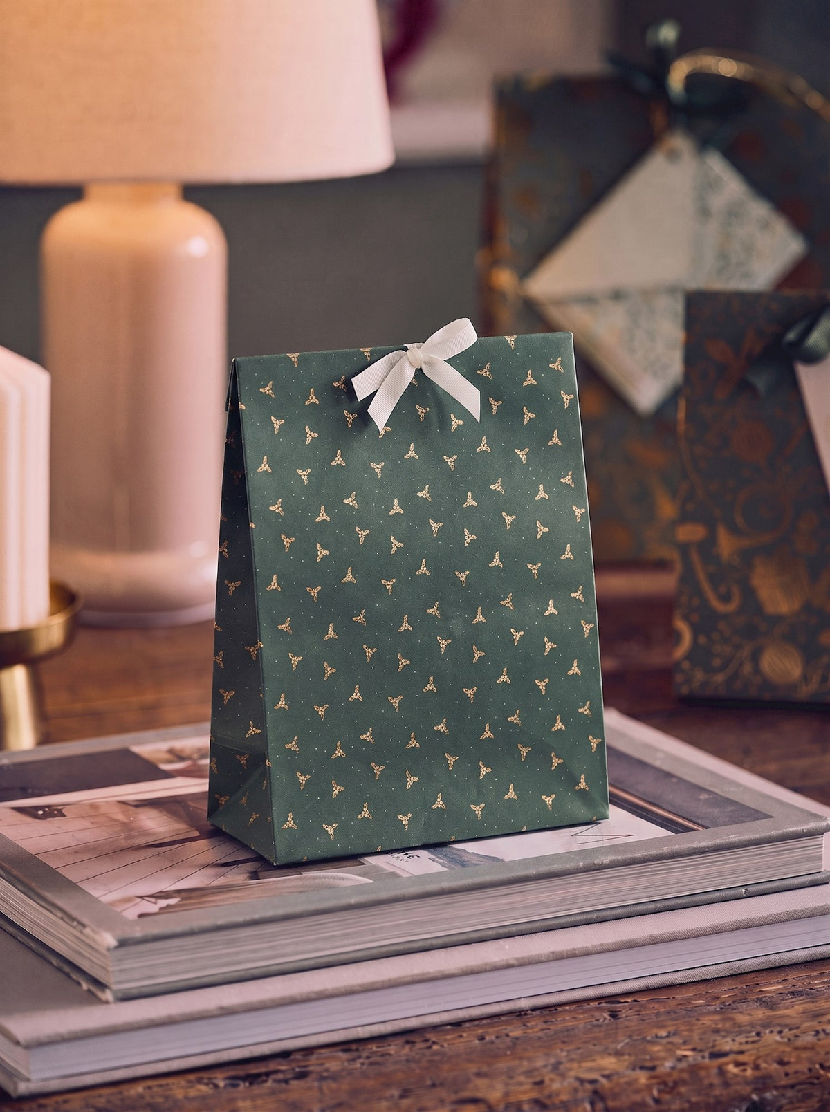 Gift bag with ribbon