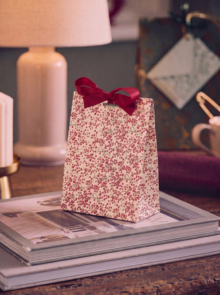 Gift bag with ribbon