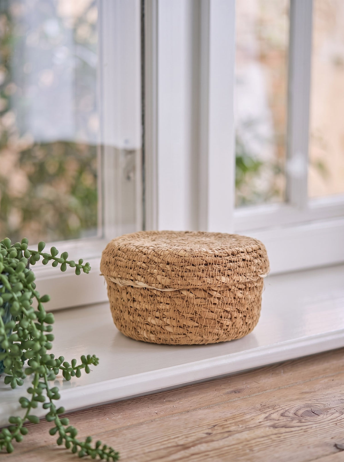 Basket with lid