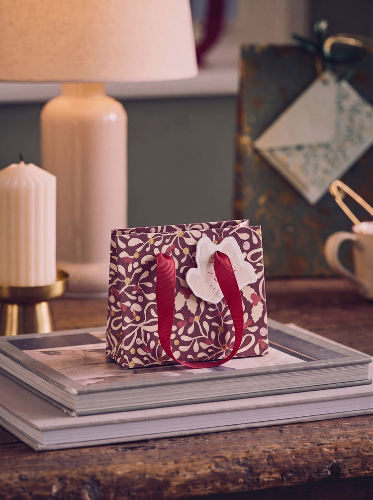 Gift bag with handles and tag