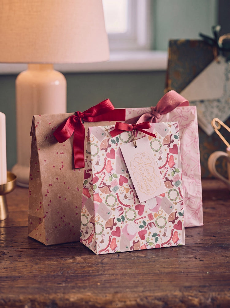 Gift bag with ribbon