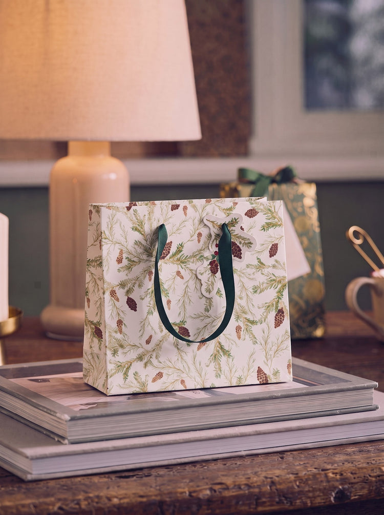 Gift bag with handles and tag