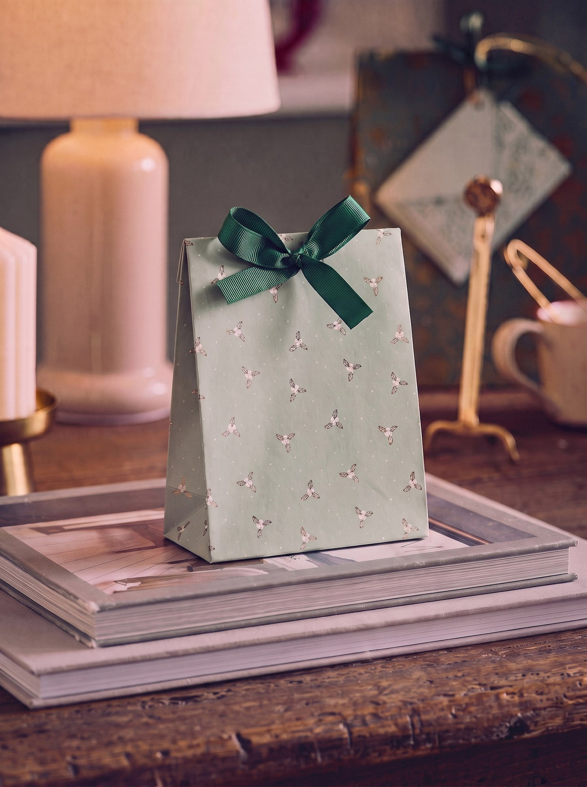 Gift bag with ribbon