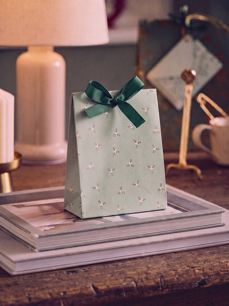 Gift bag with ribbon