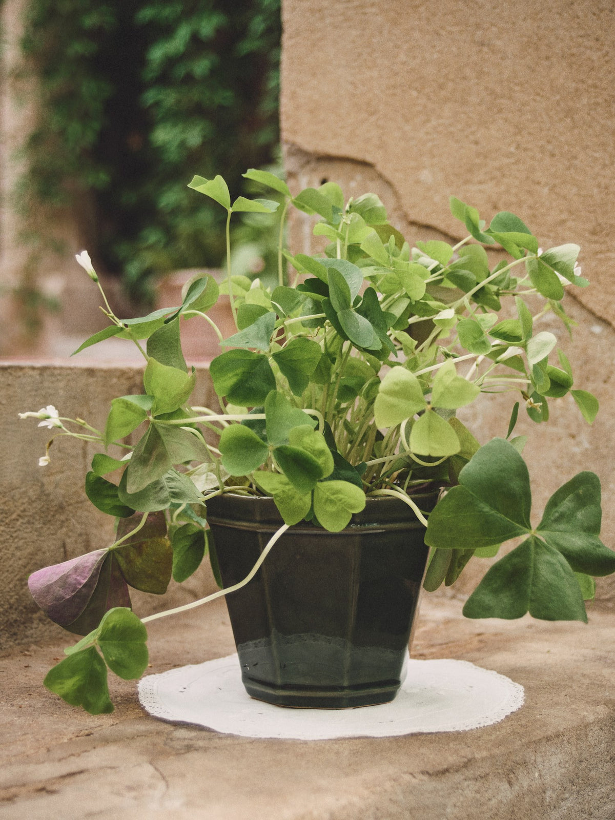 Flowerpot