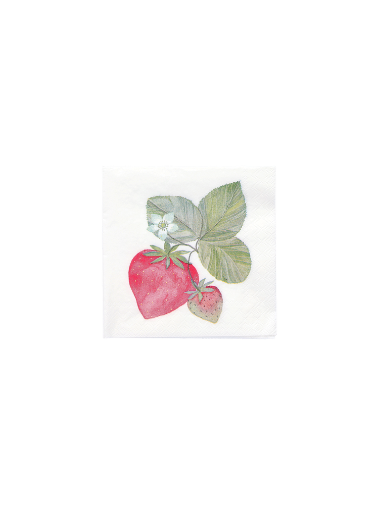 Napkins 25 x 25