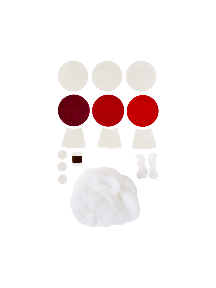 DIY kit mushrooms
