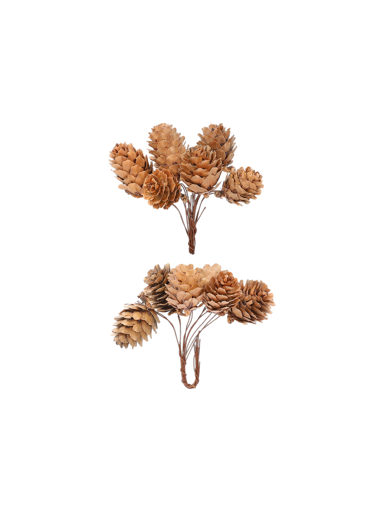Small pine cones