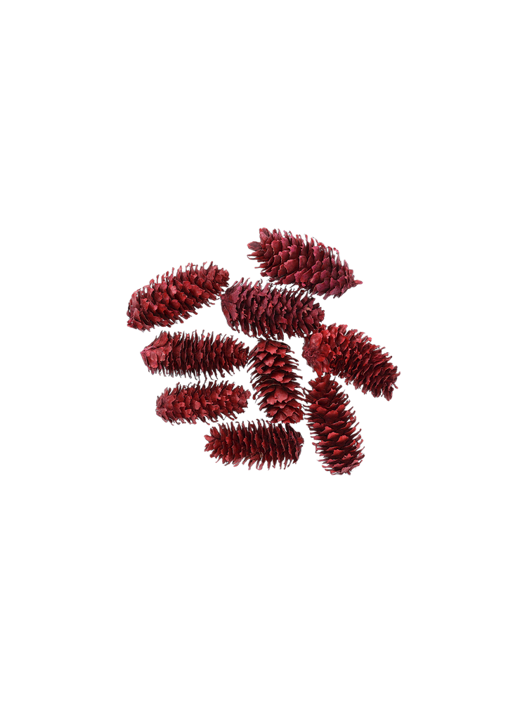 Coloured pine cones