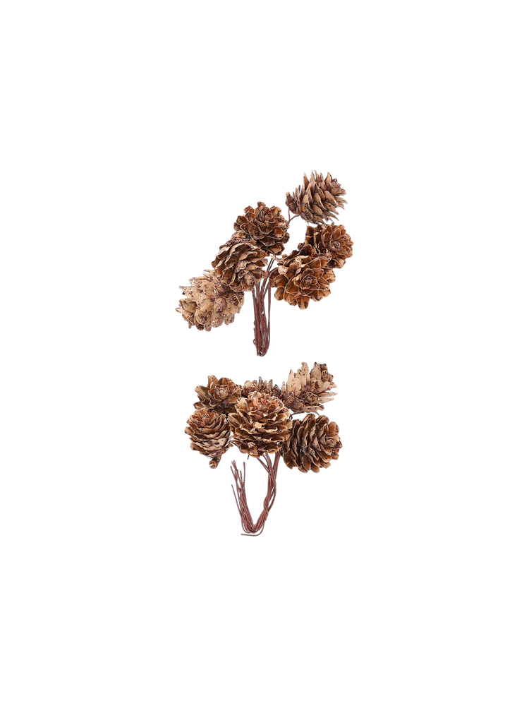 Pine cones with glitter