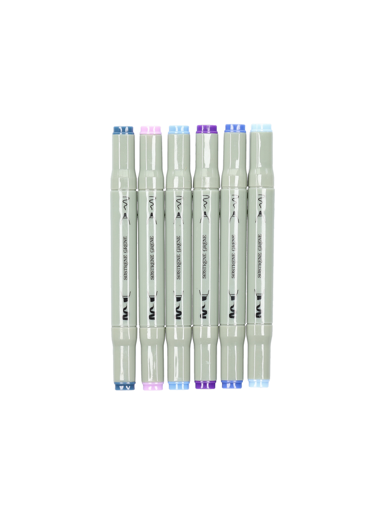 Artist markers twin tip