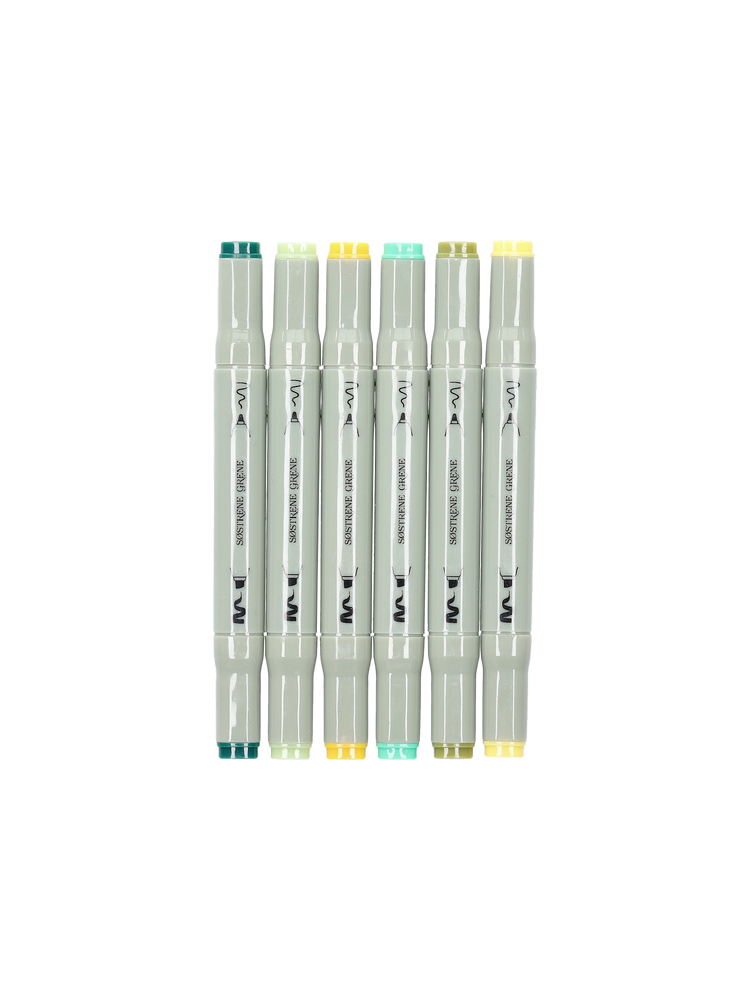Artist markers twin tip