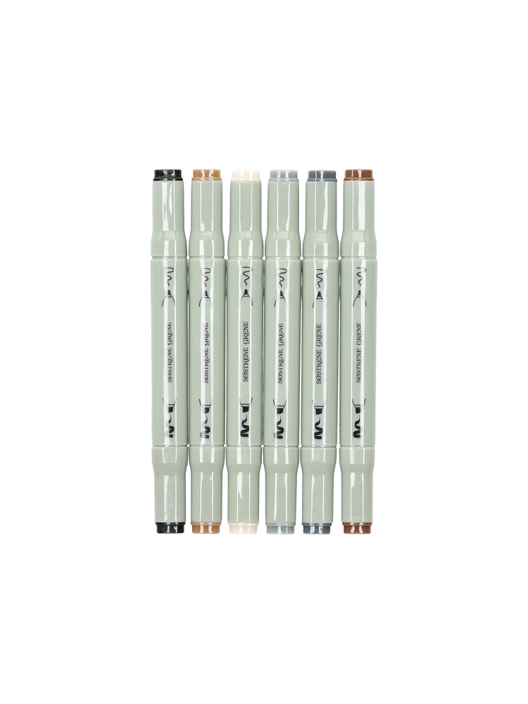 Artist markers twin tip