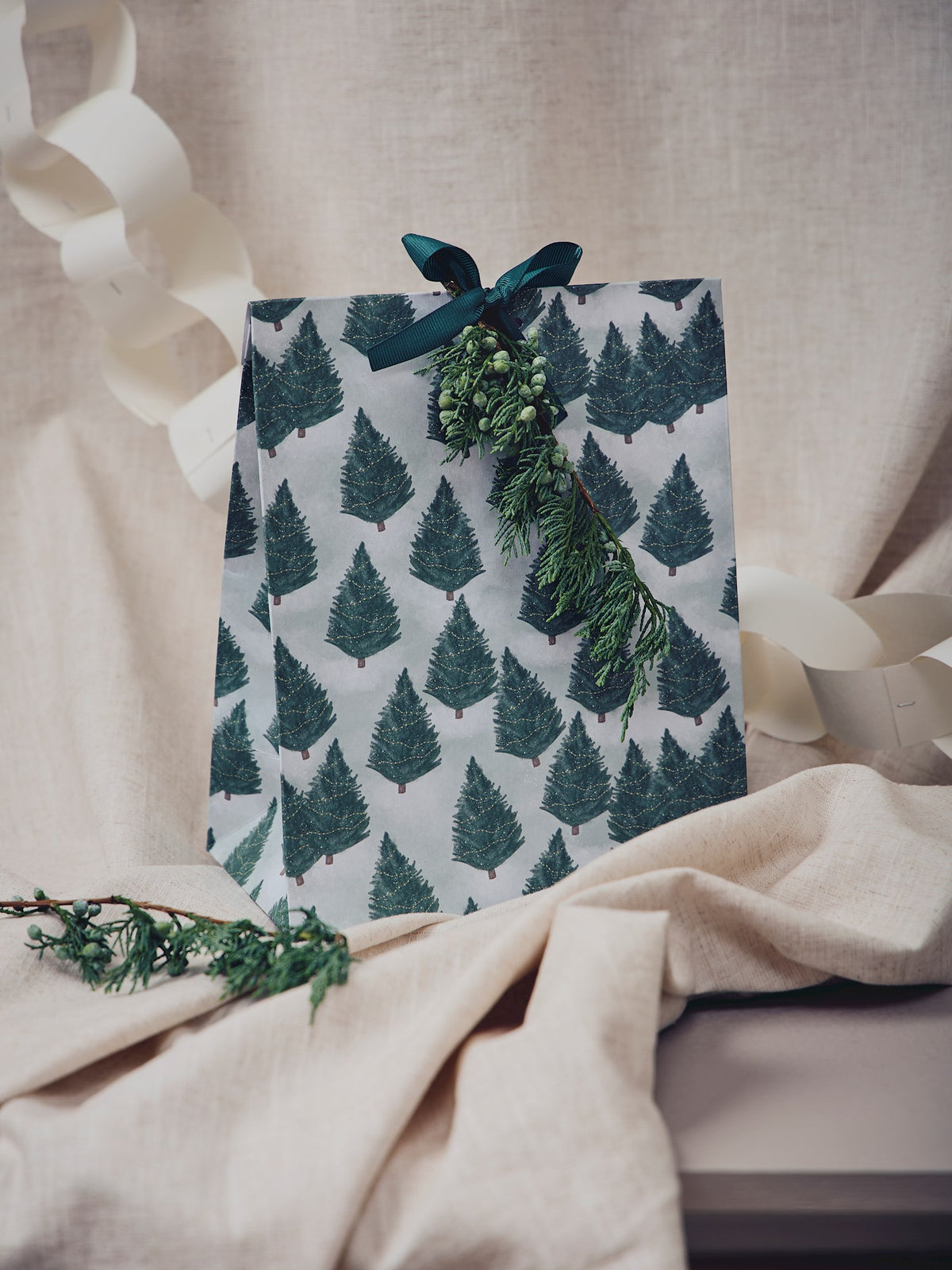Gift bag with ribbon