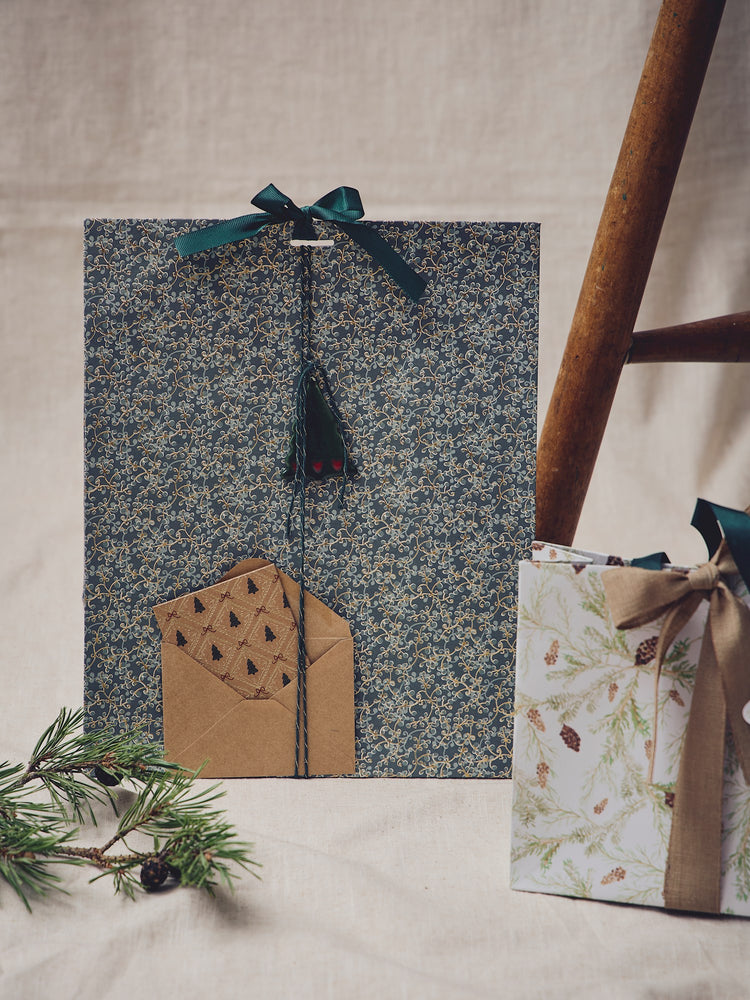 Gift bag with ribbon