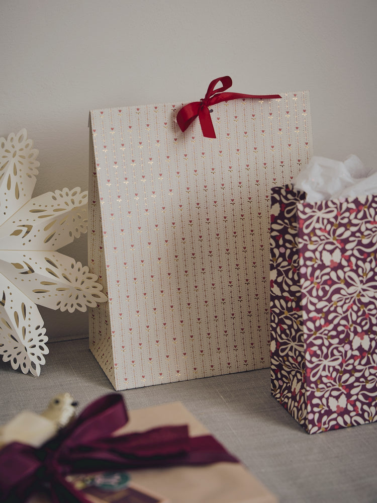 Gift bag with ribbon