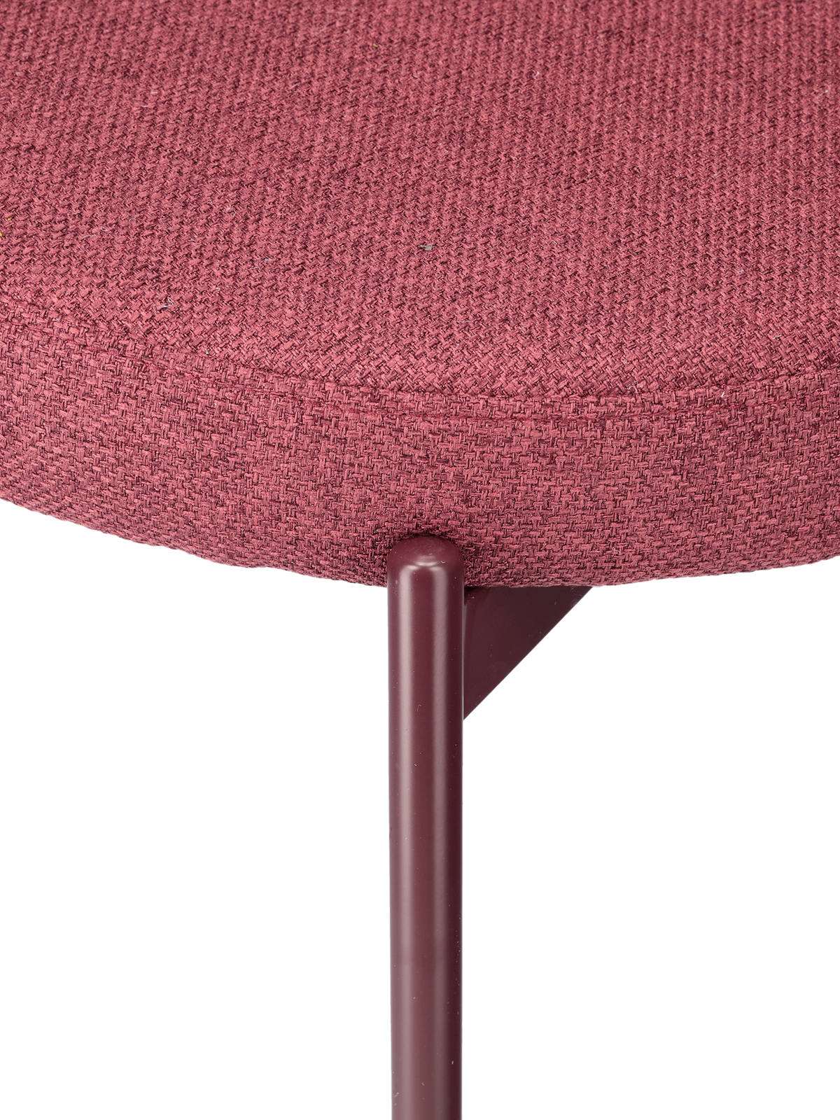 JOY dining chair