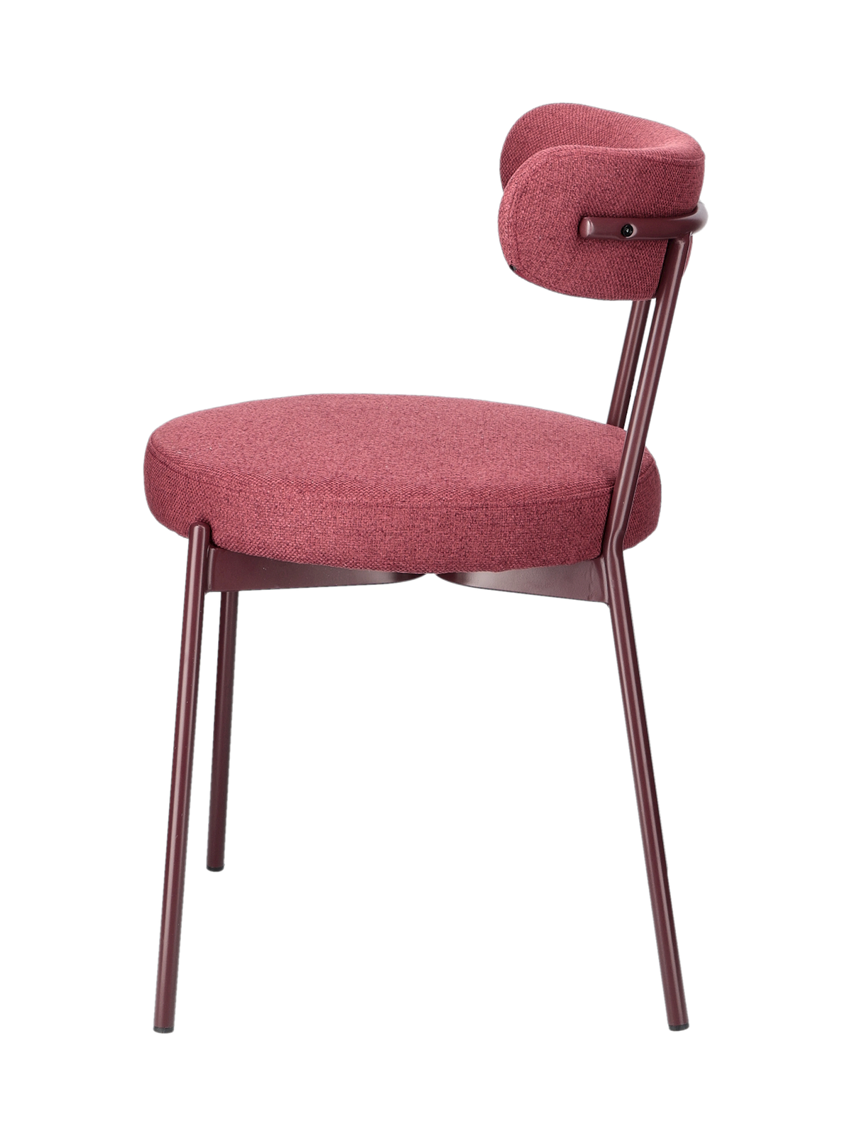 JOY dining chair