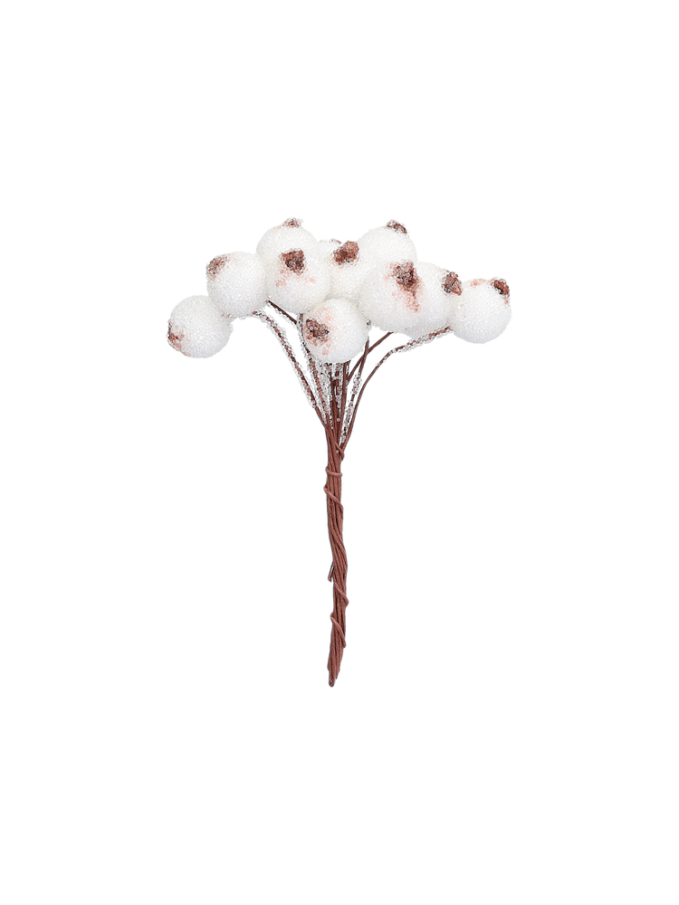 Decorative berries