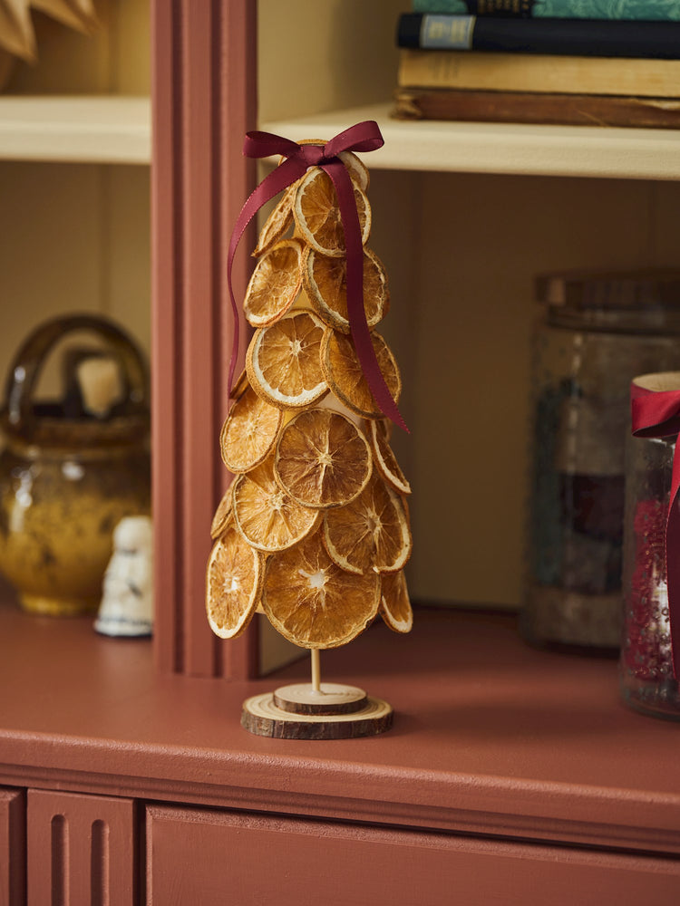 DIY kit dried oranges