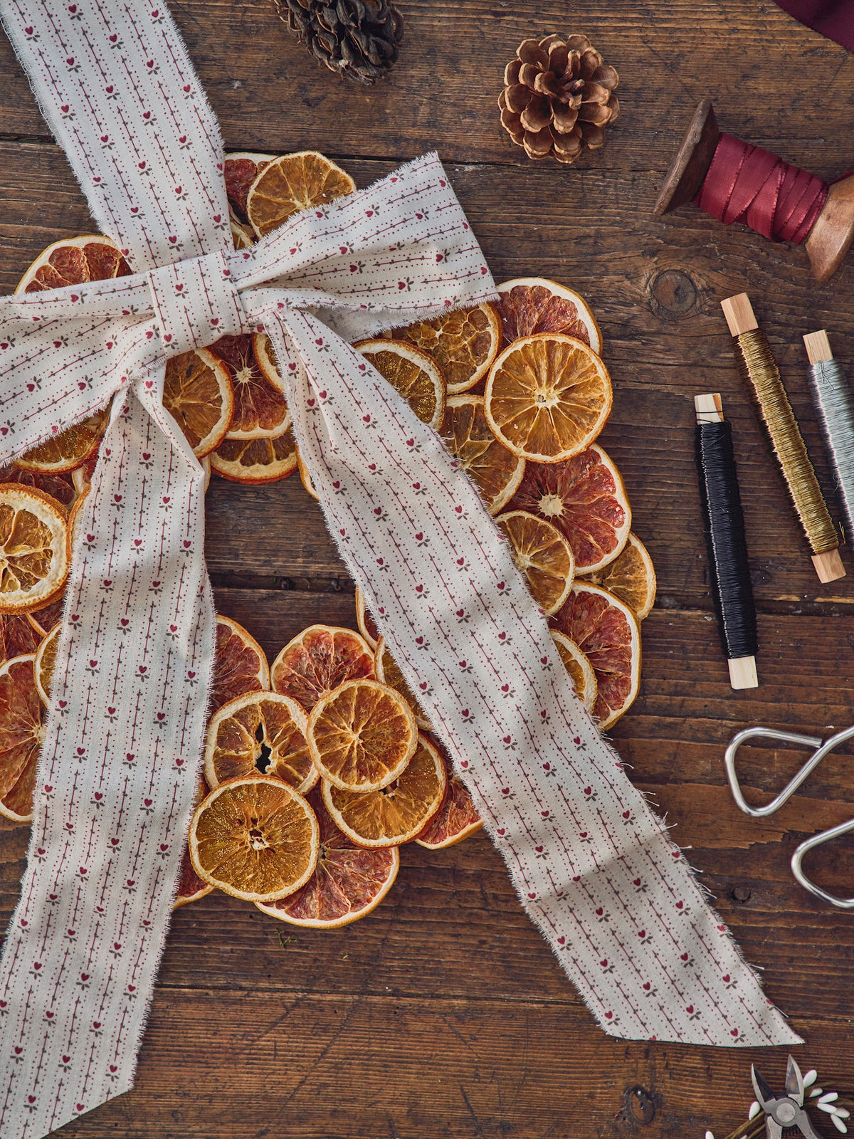 Dried orange slices
