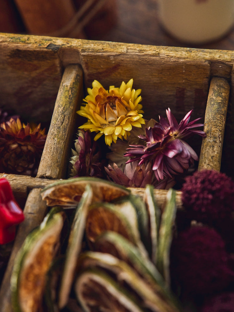 Dried flower heads