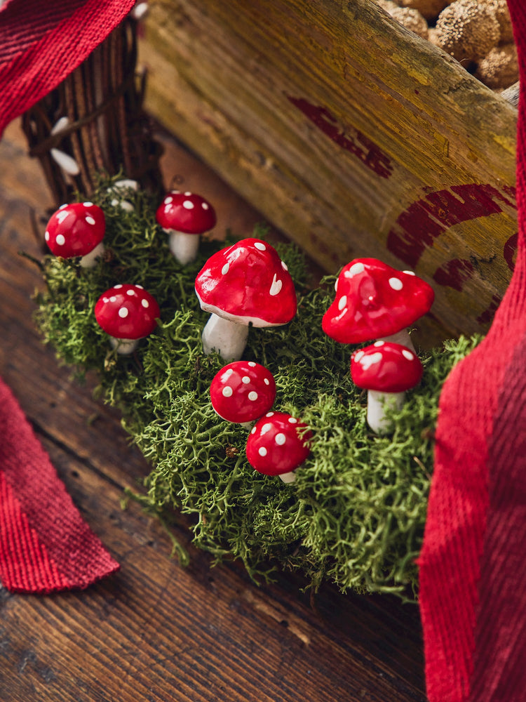 Mushrooms on stick