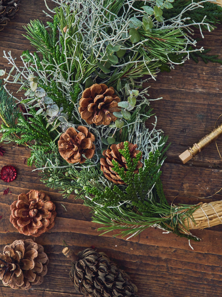 Pine cones