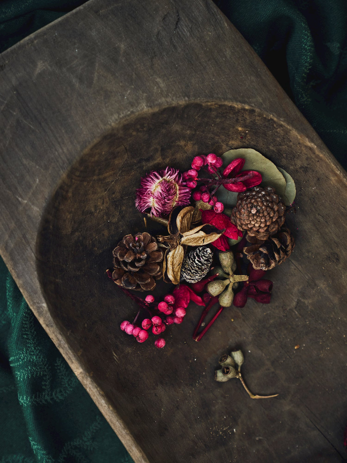 Assorted nature decorations