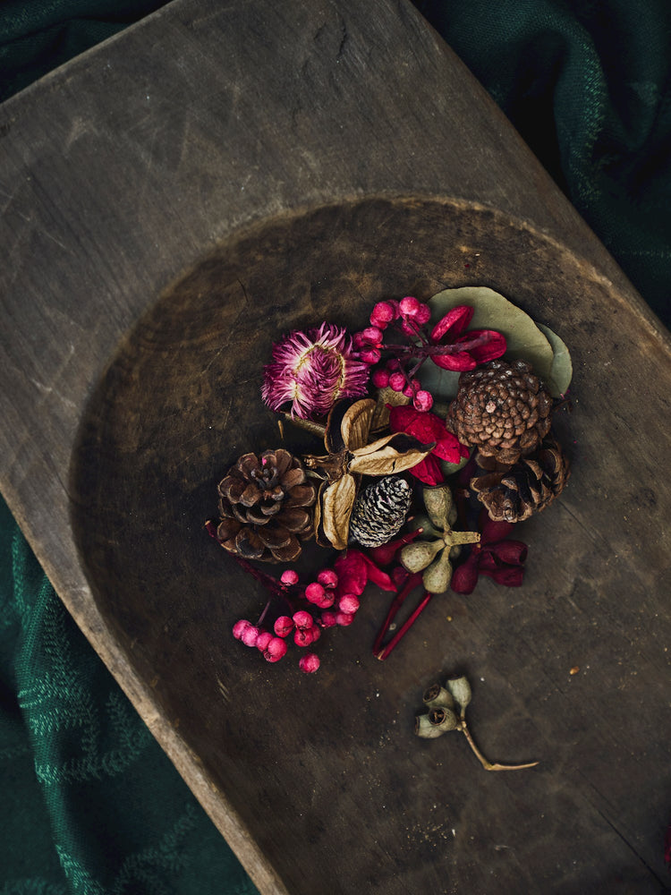 Assorted nature decorations